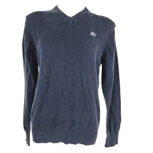Aeropostale v neck sweater baby blue Size Large